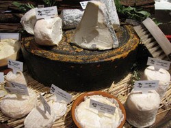 Promosi Keju Herve MonS Digelar di RIVA