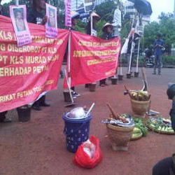 Bawa Jagung dan Singkong, Petani Banggai Tuntut Hak Atas Tanah di Istana