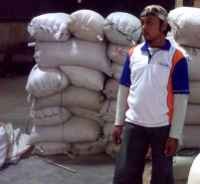 Pemerintah Janji Stop Impor Beras Akhir Maret