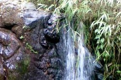 Patung Gajah dari Masa 2000 SM Ditemukan di Pagaralam Sumsel