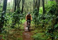 Main Lumpur di Tepi Sungai Palayangan