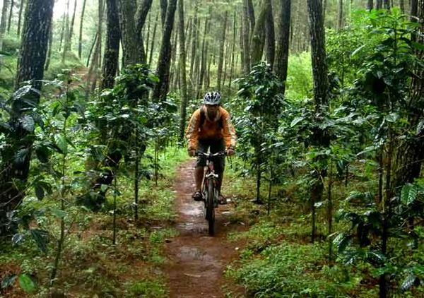 Main Lumpur di Tepi Sungai Palayangan