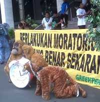 Kantor Menko Perekonomian Diduduki Aktivis Greenpeace