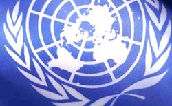 8 Staf PBB Dibunuh di Afghanistan, 2 Tewas Dipenggal