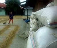 Harga Pangan Turun, Hatta Pede Deflasi Terjadi Sampai Mei