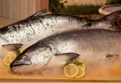 Tulang Kuat Karena Makan Ikan