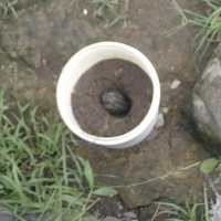 Temuan Granat di Kebun Hebohkan Warga Ciumbuleuit