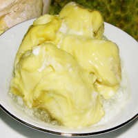 Segarnya Es Durian Olohok
