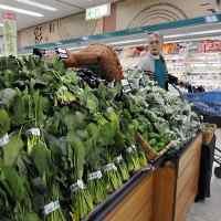 India Berlakukan Larangan Impor Semua Produk Makanan Jepang