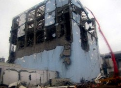 Tanah 30 Km di Luar PLTN Fukushima Aman untuk Pertanian