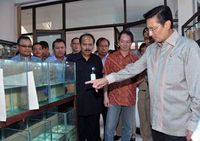 Fadel Tinjau Budidaya Ikan Cupang