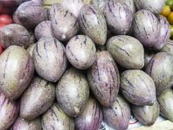 Pepino, Buah Berkhasiat dari Pegunungan Andes