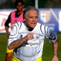 Colomba Arsiteki Parma