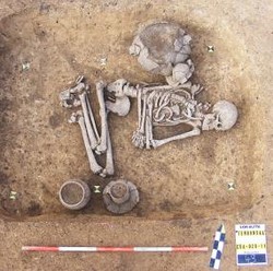 Wow, Manusia Gay Pertama Ditemukan!