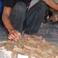 Penambang Batu Temukan Fosil di Goa Angker