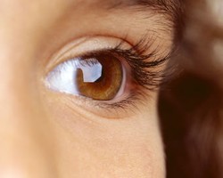 Tips Tonjolkan Keindahan Bulu Mata dari Gusnaldi