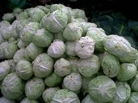 Harga Kol di Karo Anjlok