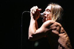 Iggy Pop Nyaris Jadi Juri American Idol