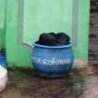 Tas Misterius di Samping Masjid Gegerkan Warga Lumajang