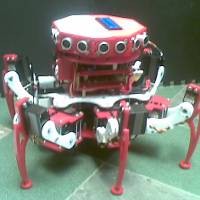 Juara Robot, Mahasiswa UGM & ITB Dapat Beasiswa