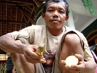Benda Antik Beragam Jenis Ditemukan di Pacitan 