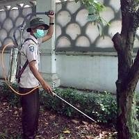 Puluhan Pohon di Rumdis Walikota Bandung Disemprot Racun