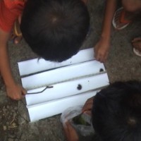 Wah! Ada Adu Balap Ulat Bulu