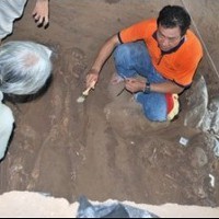 Lukisan Dinding Gua Harimau Patahkan Paradigma Arkeolog