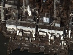 Akibat Krisis Nuklir, Pariwisata Jepang Anjlok 50%