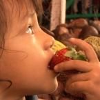 Gadisya Niscayahati, 3,11 Tahun; Perempuan; f