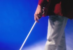 Tumbuhan Ganggang, Terobosan Baru untuk Mata Buta