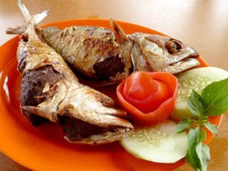 Kembung Betelok Langka dari Bangka