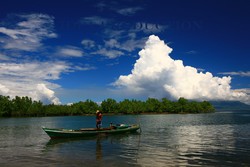 Sidangoli Expedition: Menelusuri Kerajaan Burung Bidadari di Halmahera Barat