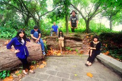 LAlphalpha: Pendatang Baru Yang Berhasil Menaklukkan Singapura