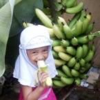 Faeyza Hana A, 3,8 Tahun; Perempuan; f