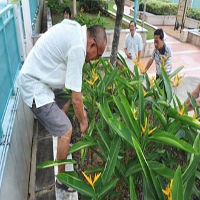 Dikubur Hidup-hidup, Bayi Baru Lahir Ditemukan Selamat