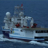 Beli Kapal Seismik, Elnusa Berpeluang Sentuh Rp 500?