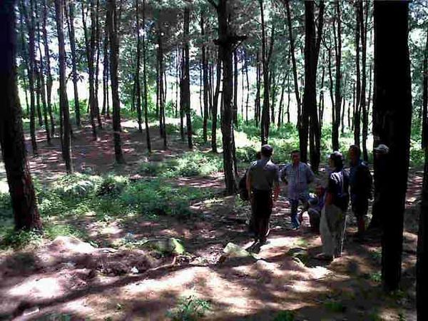 Tempat Pelatihan Ala Militer di Majalengka