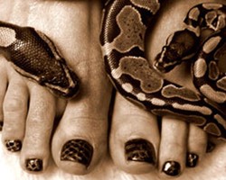 Kulit Ular Kini Bisa Jadi Cat Kuku