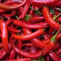 Cabai Picu Libido Wanita