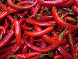 Cabai Picu Libido Wanita