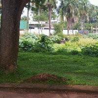 Global TV Tindak IF Sesuai Aturan Bila Terbukti Terlibat Bom Serpong