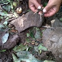 Bungkusan Isi Peluru Aktif Ditemukan Saat Kerja Bakti