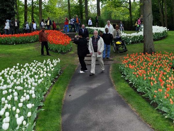 Menimati Indahnya Taman Tulip
