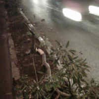 Puluhan Bonek Ngamuk Terjebak Macet