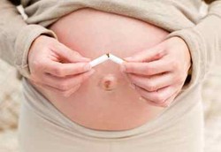 1 dari 117 Bayi Tewas dalam Kandungan Akibat Asap Rokok