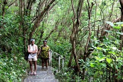 Pesona Keindahan Pantai Karma Kandara