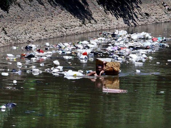 Berkubang di Sungai Ciliwung