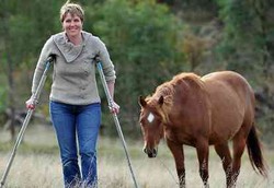 Pertama di Dunia: Darah Sapi Selamatkan Nyawa Manusia