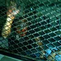 Komplotan Pencuri Ban Serep Dibekuk